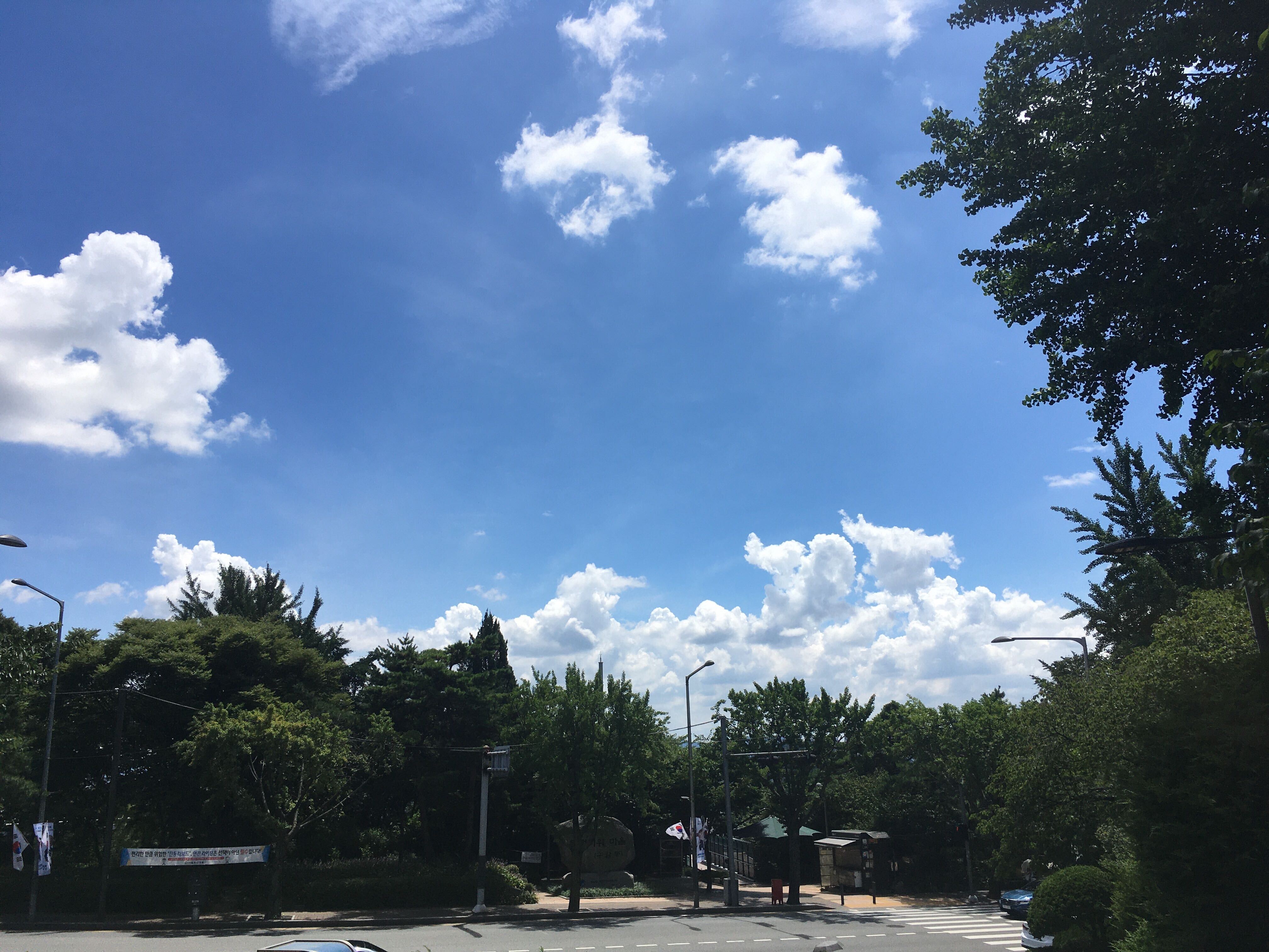 남산 도서관 앞에서 찍은 하늘 사진